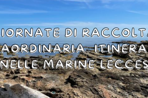 Marine di Lecce: giornate di raccolta straordinaria per rifiuti ingombranti, prima tappa a Frigole 